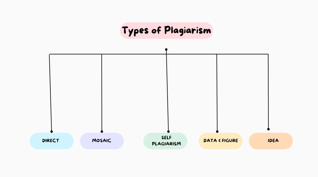 types of plagiarism